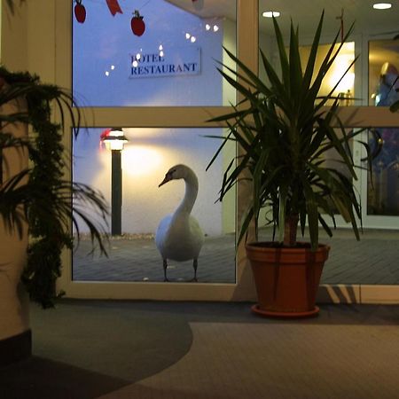 Seehotel Luisenhof Falkenhagen  Екстериор снимка