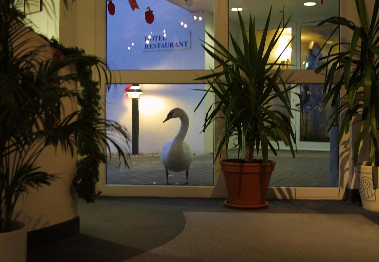 Seehotel Luisenhof Falkenhagen  Екстериор снимка